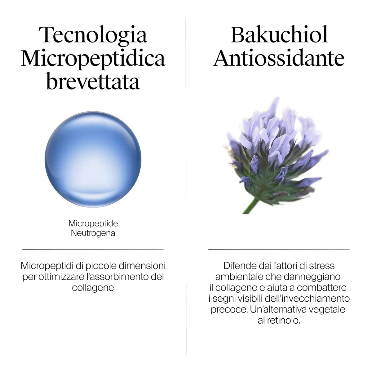 Neutrogena Collagen Bank Crema Idratante Viso, Crema Collagene viso con Tecnologia Micropeptidica brevettata e Bakuchiol anti-età per tutti i tipi di pelle, Formula leggera per uso quotidiano, 50 ml