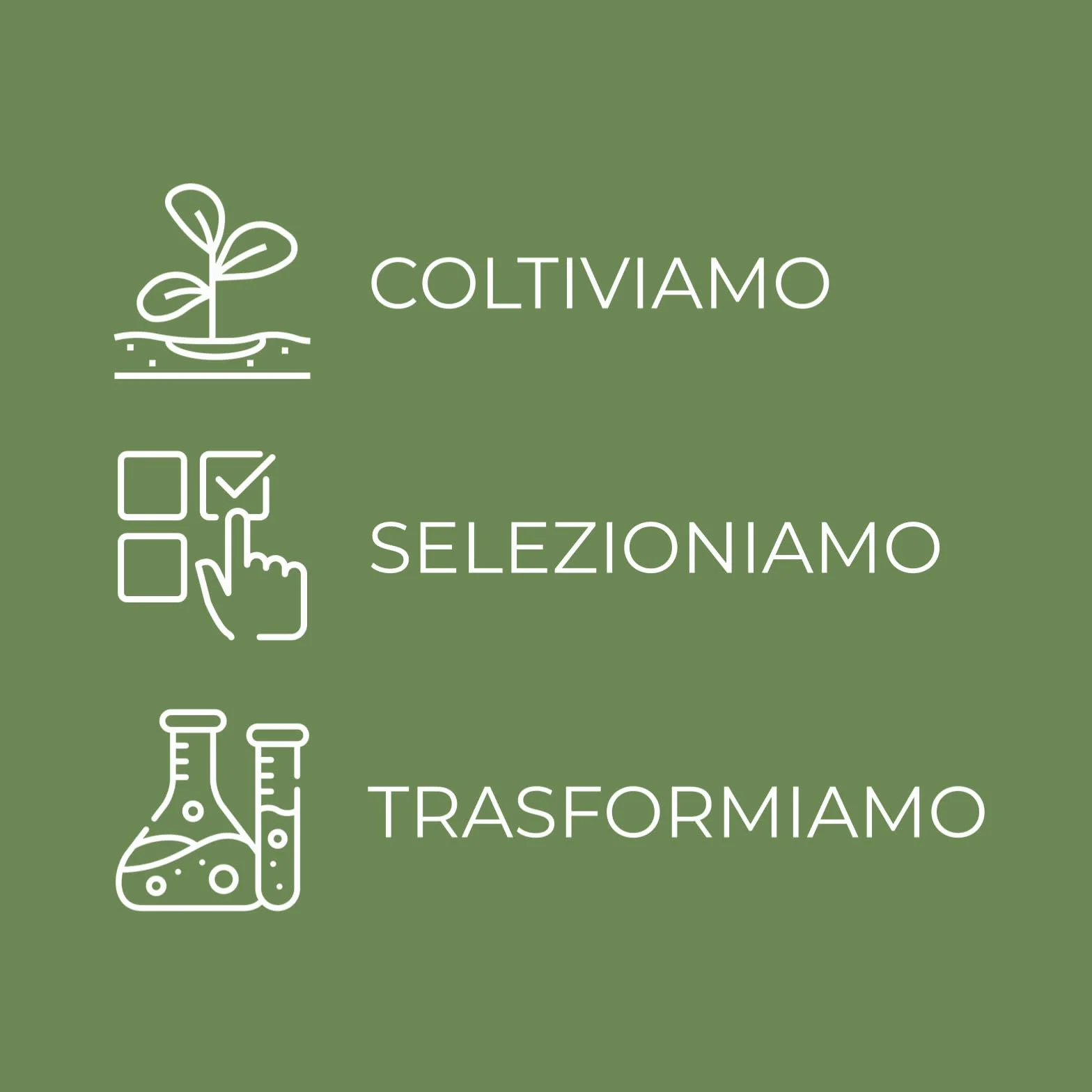 Bottega Verde - Body Mist Camelia, 150 ml, Acqua Profumata per il Corpo, Fragranza Fiorita con Camelia e Rosa Damascena, Fresca e Raffinata, per Tutti i Tipi di Pelle