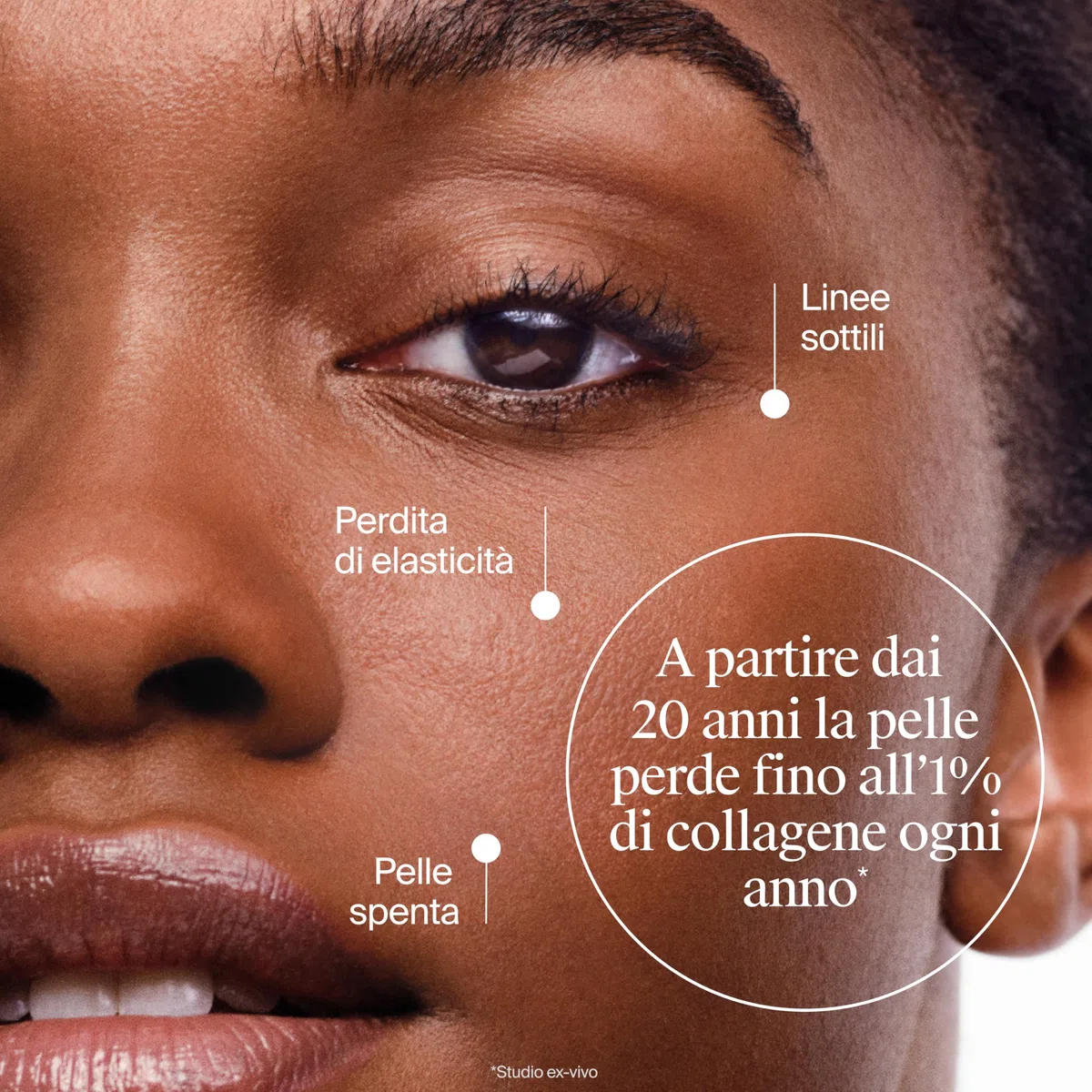 Neutrogena Collagen Bank Crema Idratante Viso, Crema Collagene viso con Tecnologia Micropeptidica brevettata e Bakuchiol anti-età per tutti i tipi di pelle, Formula leggera per uso quotidiano, 50 ml