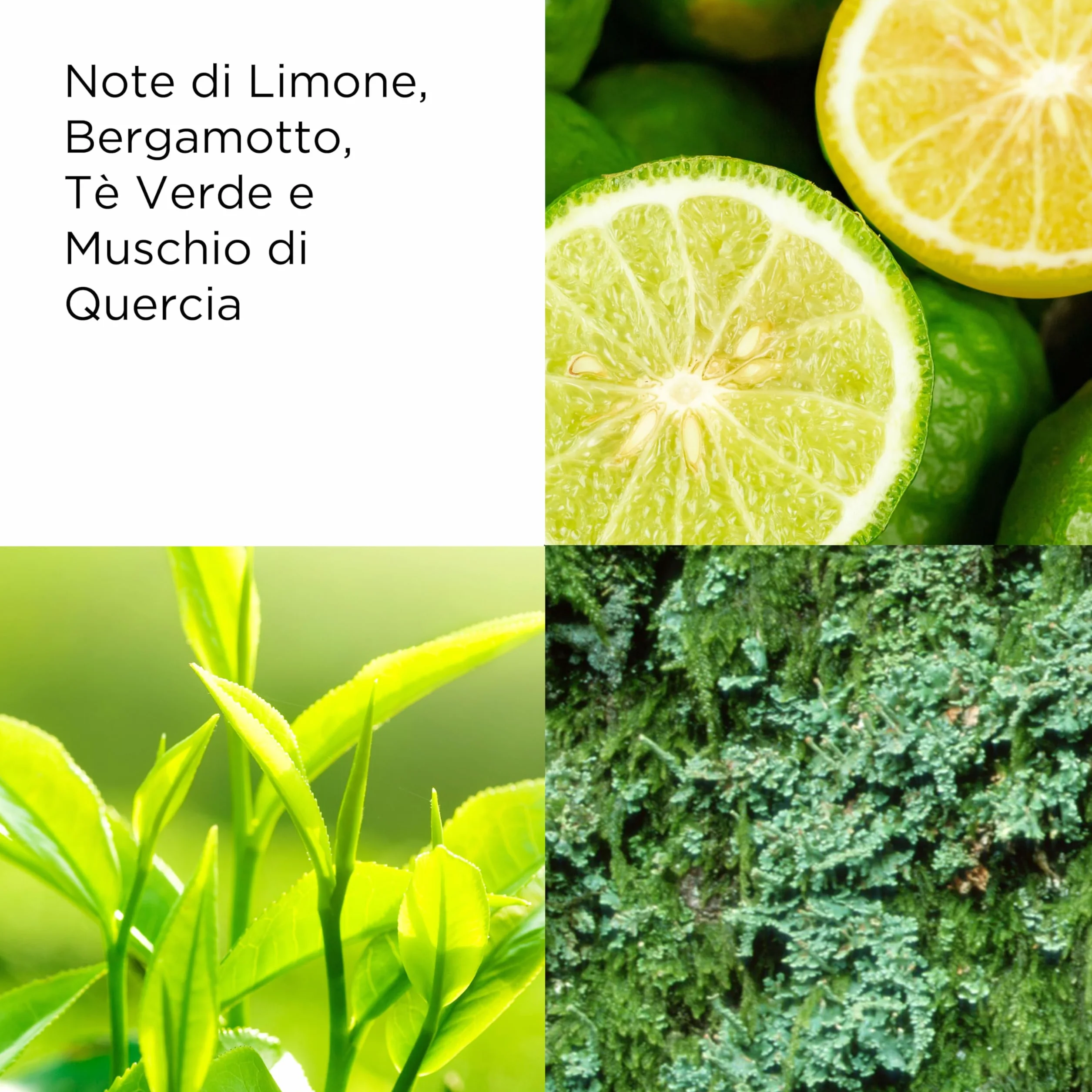 Elizabeth Arden - Green Tea, Gel Bagno e Doccia Energizzante, Profumato al Tè Verde, Rinfrescante, Floreale ed Agrumato, Detergente Delicato per la Pelle, Senza Sapone - 500 ml