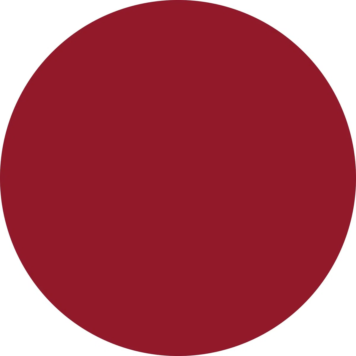 WYCON cosmetics SILKY WAVE LIP TINT Tinta labbra effetto blurring. 06 RASPBERRY