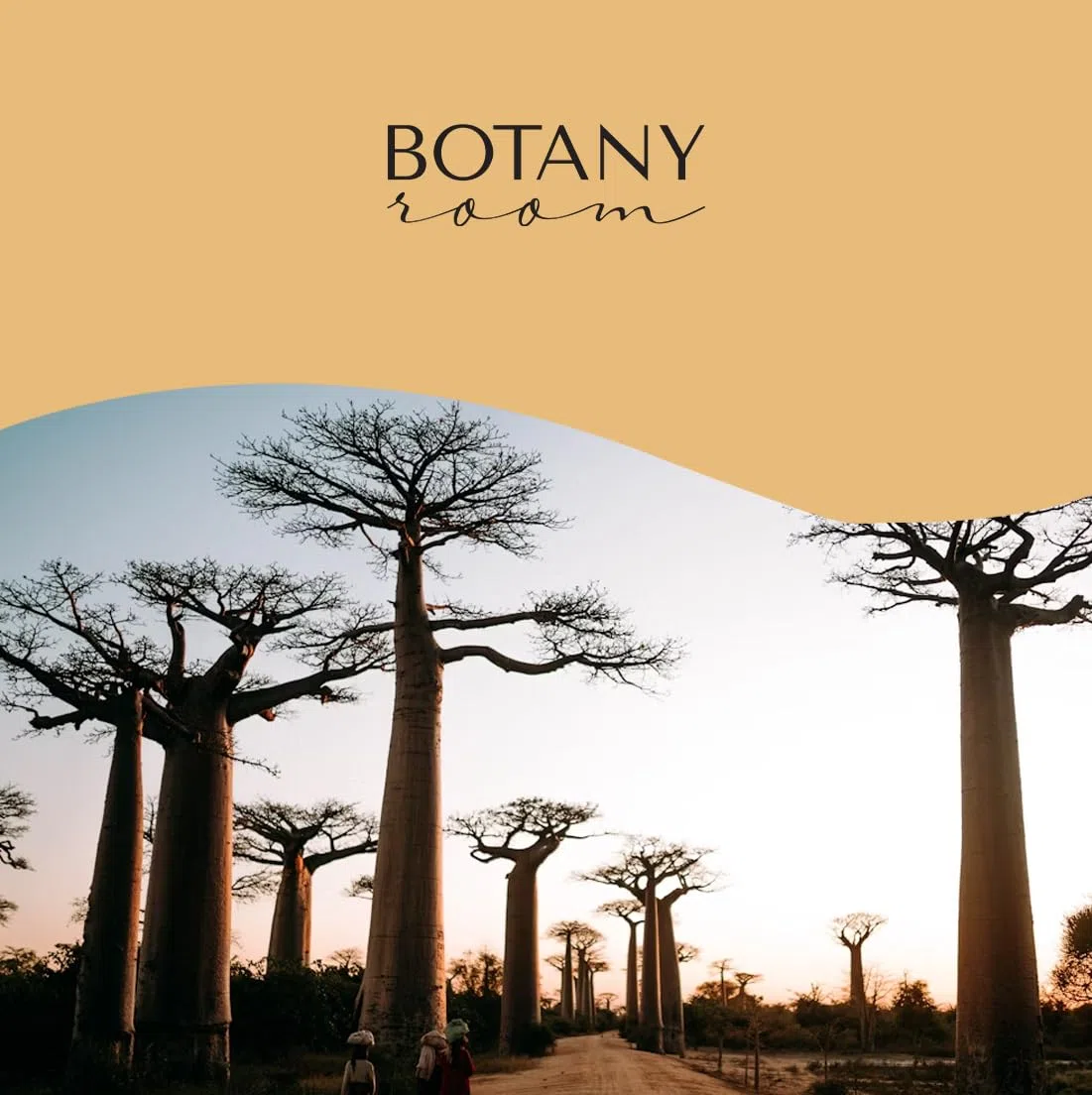Olio di baobab spremuto a freddo | 100% puro naturale | Olio per pelle e capelli per una cura intensiva | Ricco di acidi grassi omega e vitamina E | Bottiglia di vetro da 50 ml | Una cura