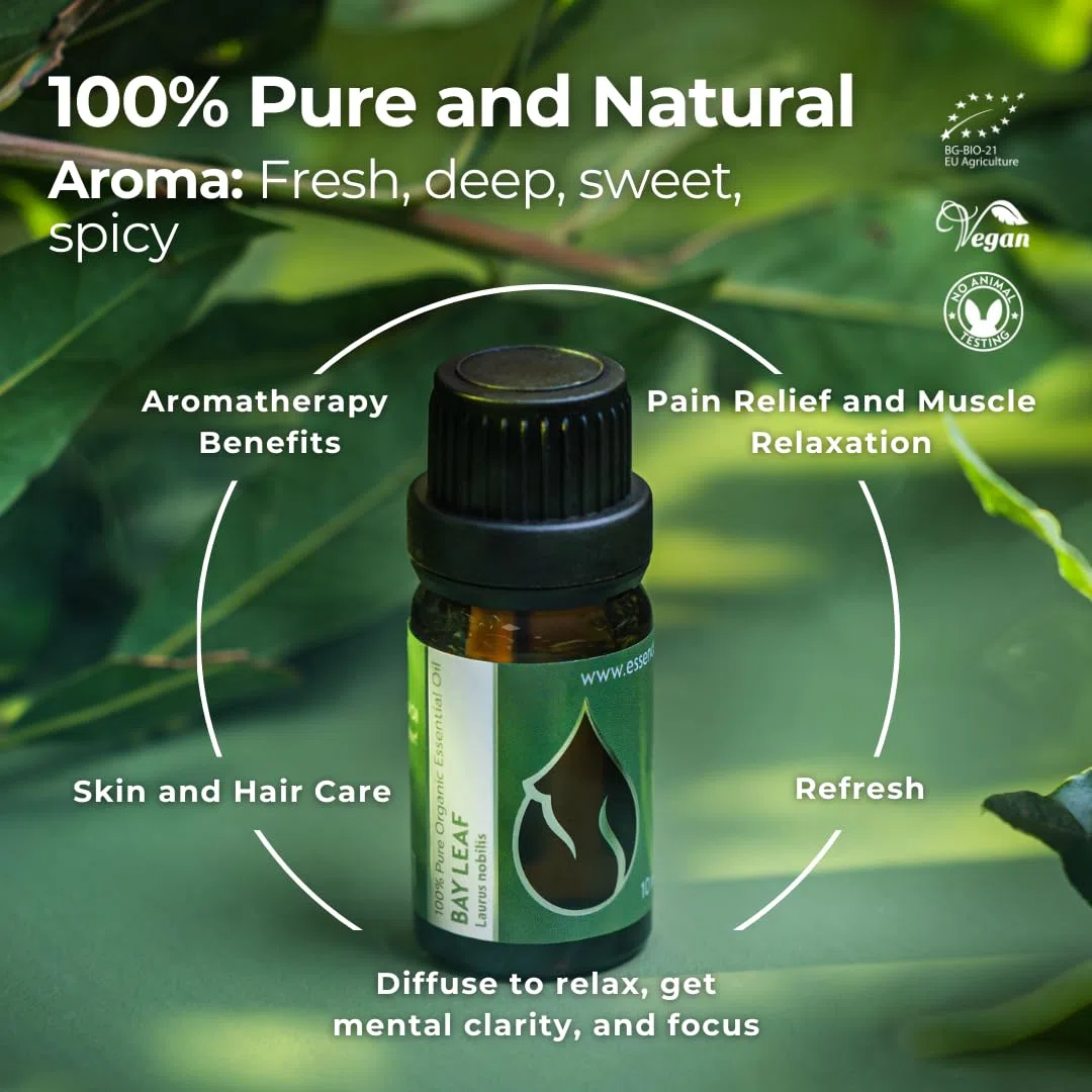 Essences Bulgaria Olio Essenziale di Alloro Biologico 10 ml | Laurus nobilis | 100% Puro e Naturale | Non Diluito | Grado Terapeutico | Fattoria a Conduzione Familiare | Distillato a Vapore | Non OGM